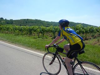 cycle holiday riding through vineyards